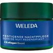 Weleda Blue Gentian & Edelweiss Firming Night Cream 40ml Weleda Blue Gentian & Edelweiss Firming Night Cream 40ml