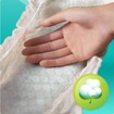 Pampers Active Baby Dry No3 (5-9kg) 48 πάνες Pampers Active Baby Dry No3 (5-9kg) 48 πάνες