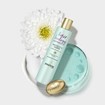 Pantene Hair Biology Meno Balance Revitalize & Soothe Shampoo With Pro-V, Vitamin B3, White tea 250ml