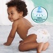 Pampers Harmonie No5 (11-16kg) 24 πάνες