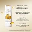 Pantene Pro-V Active Nutri-Plex Repair & Protect Shampoo for Weak, Damaged Hair - 90ml Travel Size