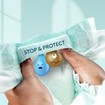 Pampers Premium Care Monthly Pack No5 (11-16kg) 148 Τεμάχια (2x74 Τεμάχια)