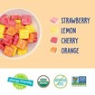 YumEarth Organic Chewys 57g