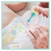 Pampers Premium Care Monthly Pack Νο3 (6-10kg) 204 πάνες Pampers Premium Care Monthly Pack Νο3 (6-10kg) 204 πάνες