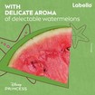 Liposan Disney Edition Princess Ariel Lip Balm 4.8g - Watermelon Shine