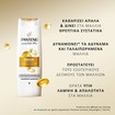 Pantene Pro-V Active Nutri-Plex Repair & Protect Shampoo for Weak, Damaged Hair 400ml Pantene Pro-V Active Nutri-Plex Repair & Protect Shampoo for Weak, Damaged Hair 400ml