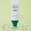 Mania Holic Skin Recharge Green Cica Comfort Cream 70g