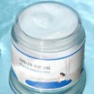 Birch Juice Moisturizing Face Cream 80ml