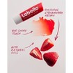 Liposan Strawberry Shine Lip Balm 24h Hydration 4.8g