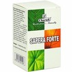 Charak Sapera Forte 100tabs