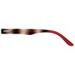 Zippo Eyewear Glasses Κωδ 31Z-PR41 με Σχέδιο 1 Τεμάχιο