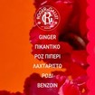 Roger & Gallet Gingembre Rouge 24h Deodorant Stick 50g