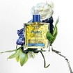 Phyto 7 Elixir Universal Enhansing Oil 100ml