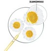 Klorane Chamomile Hair Spray 100ml