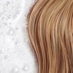 Phyto Douceur Softness Shampoo for All Hair Types - 750ml Refill