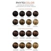 Phyto PhytoColor Coloration Permanente η No1 Μόνιμη Βαφή Μαλλιών Χωρίς Χρωστικές Ουσίες & Αμμωνία Phyto PhytoColor Coloration Permanente η No1 Μόνιμη Βαφή Μαλλιών Χωρίς Χρωστικές Ουσίες & Αμμωνία
