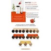 Phyto PhytoColor Coloration Permanente η No1 Μόνιμη Βαφή Μαλλιών Χωρίς Χρωστικές Ουσίες & Αμμωνία Phyto PhytoColor Coloration Permanente η No1 Μόνιμη Βαφή Μαλλιών Χωρίς Χρωστικές Ουσίες & Αμμωνία