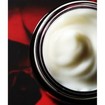 Korres Wild Rose Face Cream 60ml Korres Wild Rose Face Cream 60ml