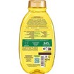 Garnier Botanic Therapy Sun-Kissed & Blossom Honey Chamomile Shampoo 400ml