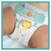 Pampers Active Baby Maxi Pack Νο3 (6-10 kg) 66 πάνες
