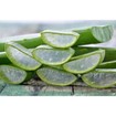Kaloe Gel Αλόης & Γλυκαντικά Από το Φυτό Stevia 1Lt Kaloe Gel Αλόης & Γλυκαντικά Από το Φυτό Stevia 1Lt