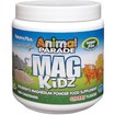 Nature\'s Plus Animal Parade Mag Kidz Powder Συμπλήρωμα Διατροφής σε Σκόνη με Γεύση Κεράσι 145gr Nature\'s Plus Animal Parade Mag Kidz Powder Συμπλήρωμα Διατροφής σε Σκόνη με Γεύση Κεράσι 145gr