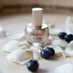 Caudalie Premier Cru The Serum 30ml Caudalie Premier Cru The Serum 30ml