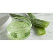 Kaloe Gel Αλόης με Γεύση Φράουλα & Γλυκαντικά Από το Φυτό Stevia 1Lt Kaloe Gel Αλόης με Γεύση Φράουλα & Γλυκαντικά Από το Φυτό Stevia 1Lt