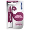Liposan Crayon Lipstick Περιποιητικό Balm Χειλιών με Χρώμα & Φυσικά Έλαια 3.3ml Liposan Crayon Lipstick Περιποιητικό Balm Χειλιών με Χρώμα & Φυσικά Έλαια 3.3ml