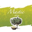 SempreViva Mastic Soap, Χειροποίητο Σαπούνι Μαστίχα 120gr SempreViva Mastic Soap, Χειροποίητο Σαπούνι Μαστίχα 120gr