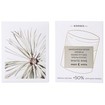 Korres White Pine Night Cream 60ml Korres White Pine Night Cream 60ml