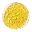 Darphin Essential Oil Elixir 8-Flower Golden Nectar Πολυτελές Ελιξίριο Νεότητας 30ml Darphin Essential Oil Elixir 8-Flower Golden Nectar Πολυτελές Ελιξίριο Νεότητας 30ml