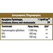 Fective Ωμέγα 3 1000mg (EPA+DHA) Συμπλήρωμα Διατροφής που Συμβάλλει στην Φυσιολογική Λειτουργία της Καρδιάς 30 Lipid Caps