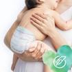 Pampers Pure Protection No1 (2-5kg) 50 πάνες Pampers Pure Protection No1 (2-5kg) 50 πάνες