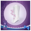 Always Dailies Extra Protect Large Fresh Scent Σερβιετάκια 24 τεμάχια Always Dailies Extra Protect Large Fresh Scent Σερβιετάκια 24 τεμάχια