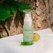 Caudalie Vinopure Blemish Control Infusion Serum 30ml Caudalie Vinopure Blemish Control Infusion Serum 30ml