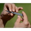 Nippes Τσιμπιδάκι Φρυδιών Topinox Ίσιο 1τμχ Nippes Τσιμπιδάκι Φρυδιών Topinox Ίσιο 1τμχ