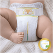 Pampers Premium Care Νο3 (6-10kg) 20 πάνες Pampers Premium Care Νο3 (6-10kg) 20 πάνες