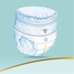 Pampers Premium Care Pants Jumbo Pack No6 (15+Kg) 31 πάνες Pampers Premium Care Pants Jumbo Pack No6 (15+Kg) 31 πάνες