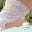 Pampers Premium Care Pants Jumbo Pack No6 (15+Kg) 31 πάνες Pampers Premium Care Pants Jumbo Pack No6 (15+Kg) 31 πάνες