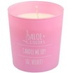 Aloe+ Colors Scented Soy Candle So Velvet 220gr