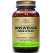 Solgar Sfp Boswellia Resin Extract 60 veg.caps