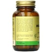 Solgar Sfp Milk Thistle / Dandelion Complex 50 veg.caps Solgar Sfp Milk Thistle / Dandelion Complex 50 veg.caps