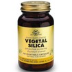 Solgar Vegetal Silica 100 veg.caps Solgar Vegetal Silica 100 veg.caps