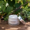 Caudalie Vinoperfect Dark Spot Correcting Glycolic Night Cream 50ml Caudalie Vinoperfect Dark Spot Correcting Glycolic Night Cream 50ml