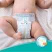 Pampers Active Baby No3 (6-10 kg) 20 πάνες