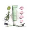 Caudalie Vinopure Skin Perfecting Mattifying Fluid 40ml Caudalie Vinopure Skin Perfecting Mattifying Fluid 40ml