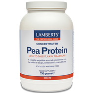 Lamberts Concentrated Pea Protein Πρωτεΐνη Από Μπιζέλια 750g