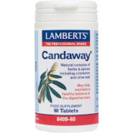 Lamberts Candaway Oregano Συμπλήρωμα Διατροφής με Αντιμικροβιακή και Αντιμυκητογόνο Δράση 60tabs